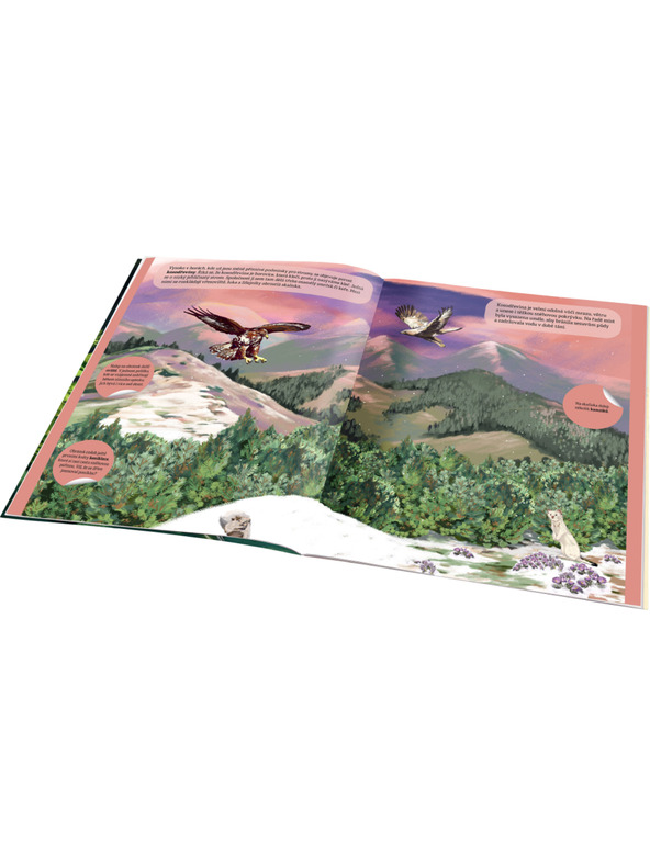 ELLA & MAX ČAROBNI SVET GOZDA – Knjiga nalepk