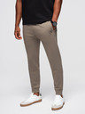 Ombre Clothing Moške jogging hlače z rebrasto obrezano in gumijastim tiskom - pepel V3 OM-PASK-0223 Ombre Clothing