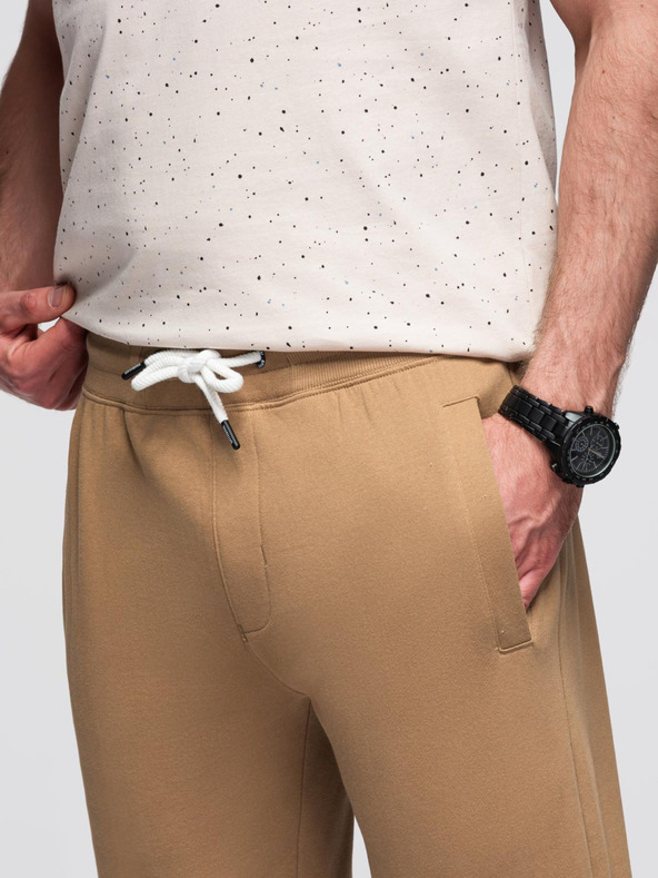 Ombre Clothing Rjave moške tovorne hlače Ombre Clothing