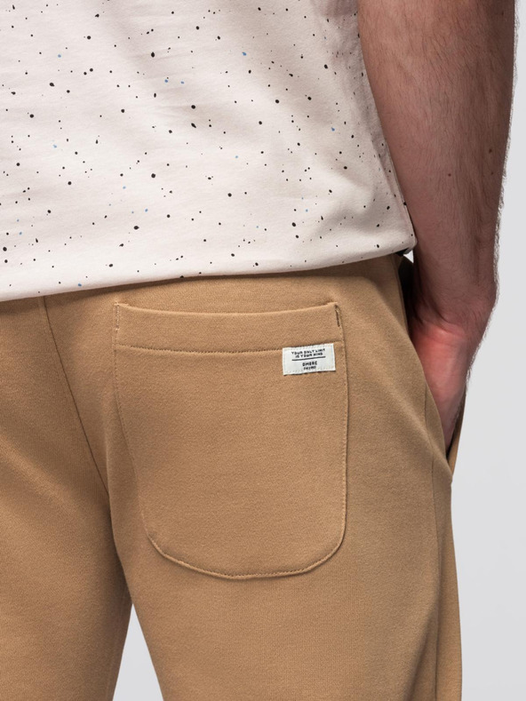 Ombre Clothing Rjave moške tovorne hlače Ombre Clothing