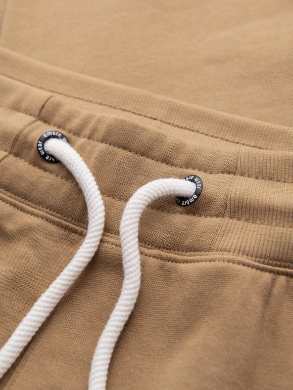 Ombre Clothing Rjave moške tovorne hlače Ombre Clothing