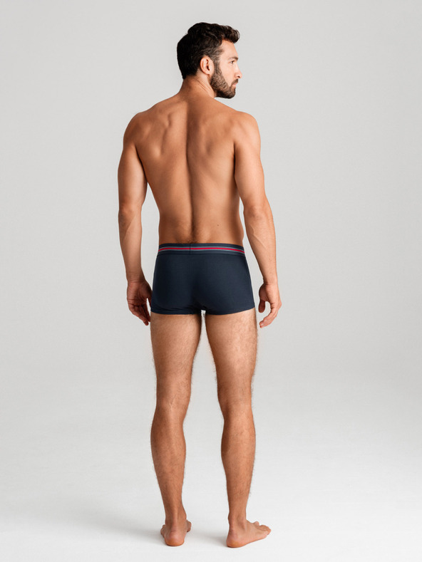 Ombre Clothing Klasične moške boksarice s črto in elastiko Ombre Clothing