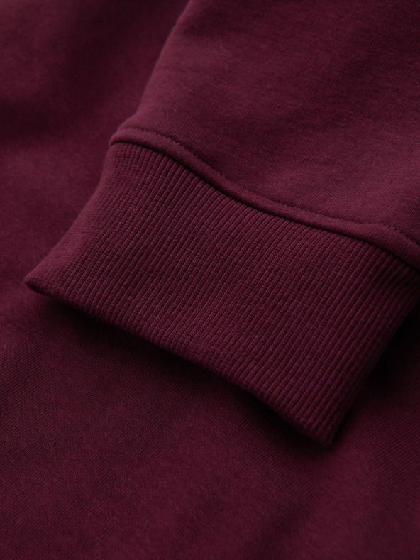 Ombre Clothing Moške bombažne trenirke BASIC joggers Ombre Clothing