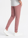 Ombre Clothing Moške bombažne trenirke BASIC jogger Ombre Clothing