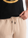 Ombre Clothing Moške bombažne trenirke BASIC joggers Ombre Clothing