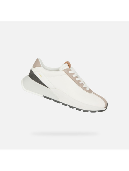 Geox Bele moške superge Geox Metropoli