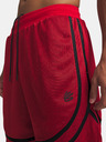 Under Armour Moške kratke hlače Under Armour UA M Hoops Sig Short
