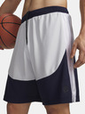 Under Armour Moške kratke hlače Under Armour UA Hoops Splash Short
