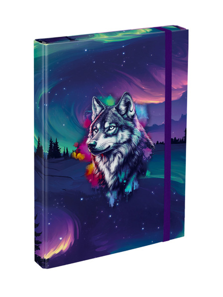 BAAGL  BAAGL Mape za šolske zvezke A4 Aurora