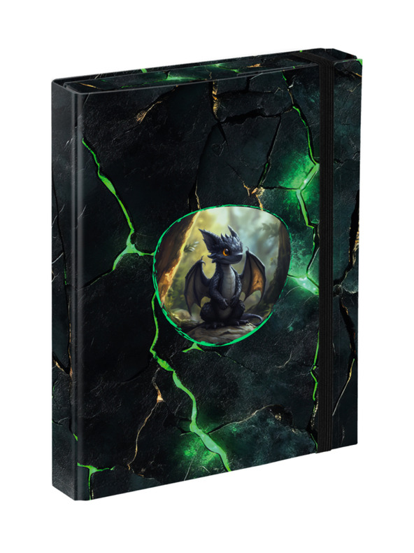 BAAGL  BAAGL Mape za šolske zvezke A5 Zmaji