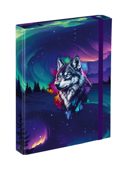 BAAGL  BAAGL Mape za šolske zvezke A5 Aurora