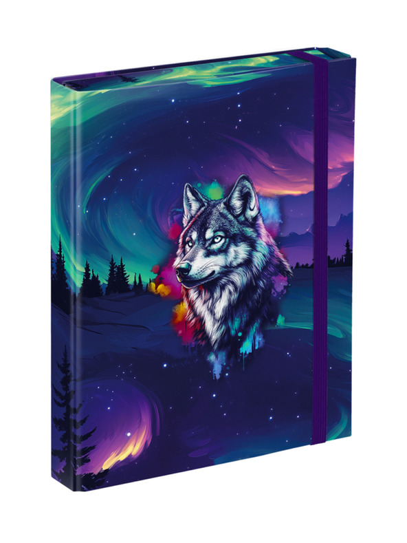 BAAGL  BAAGL Mape za šolske zvezke A5 Aurora