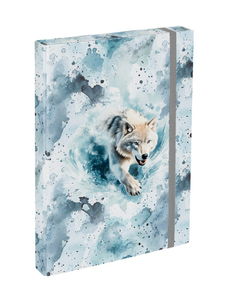 BAAGL  BAAGL Mape za šolske zvezke A4 Polar