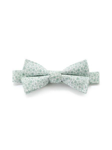 Celio Metuljček Nibowaop1