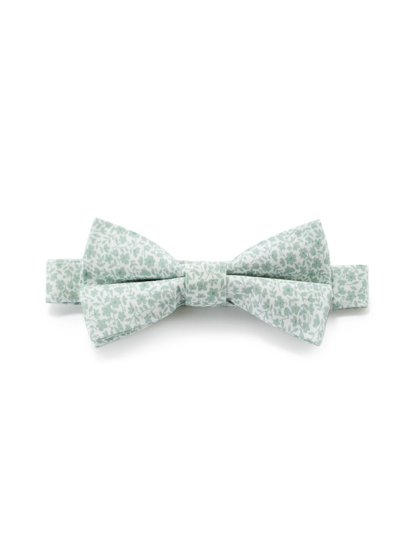 Celio Metuljček Nibowaop1