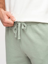 Ombre Clothing Moške kratke hlače REGULAR FIT iz francoske frotir pletenine - pastelno zelene V3 OM-SRSK-0196 Ombre Clothing