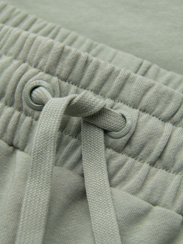 Ombre Clothing Moške kratke hlače REGULAR FIT iz francoske frotir pletenine - pastelno zelene V3 OM-SRSK-0196 Ombre Clothing