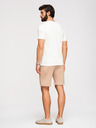 Ombre Clothing Moške kratke hlače REGULAR FIT iz gladke pletenine - bež V3 OM-SRBC-0153 Ombre Clothing