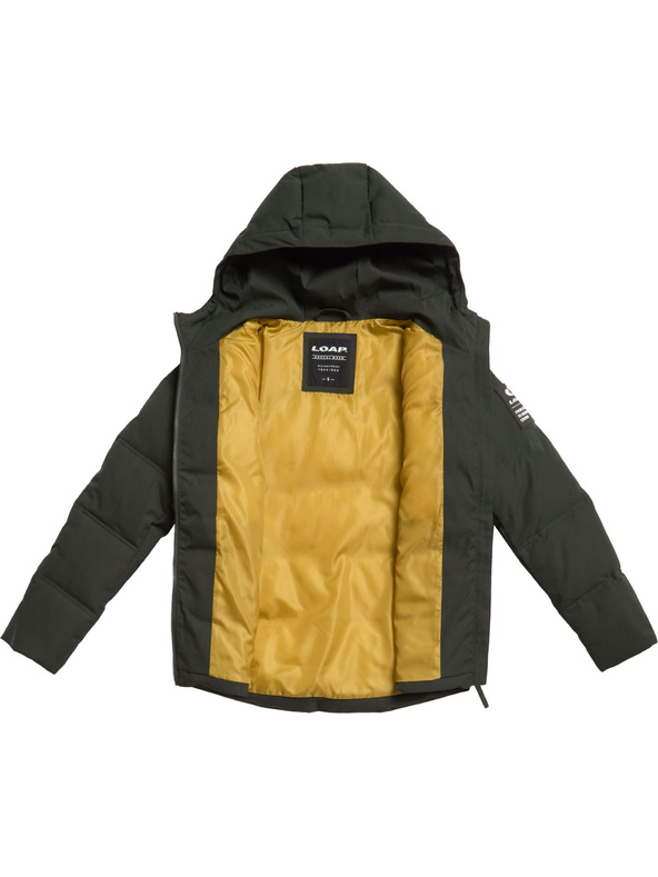 Loap Ženski plašč LOAP NATALA Temno zelena