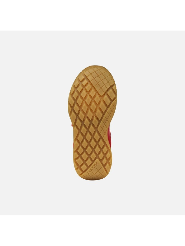 Geox Rdeče fantovske superge Geox Rann-E