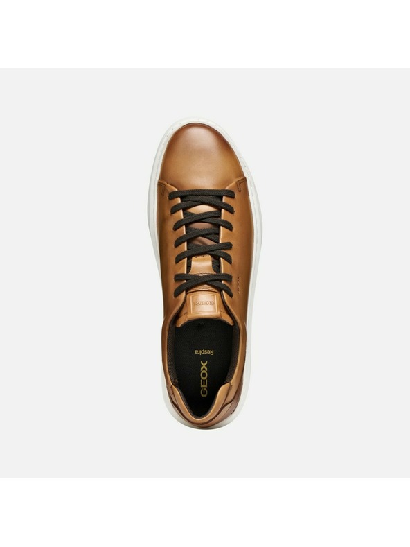 Geox Rjavi moški čevlji Geox Deiven