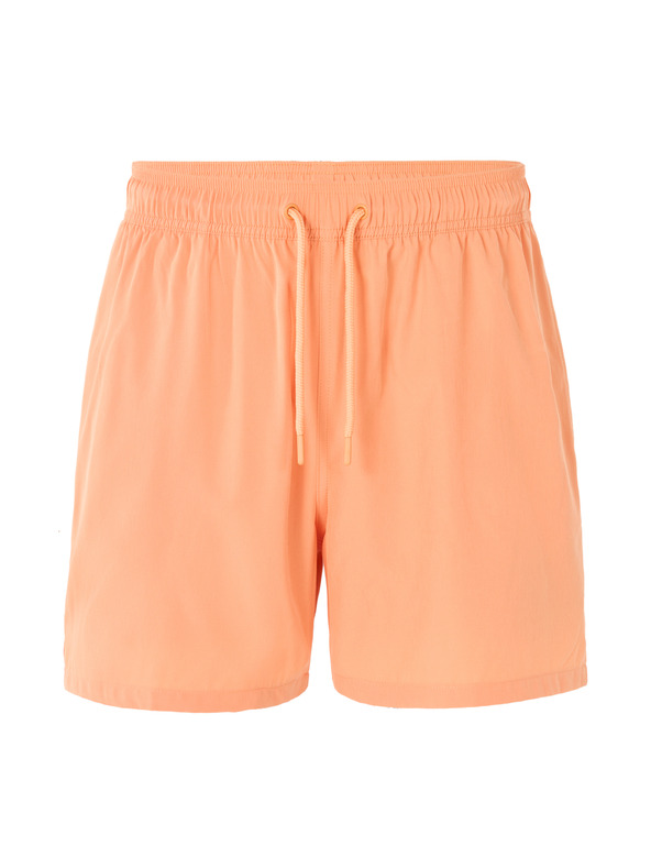 Celio Kopalke Ninorkini