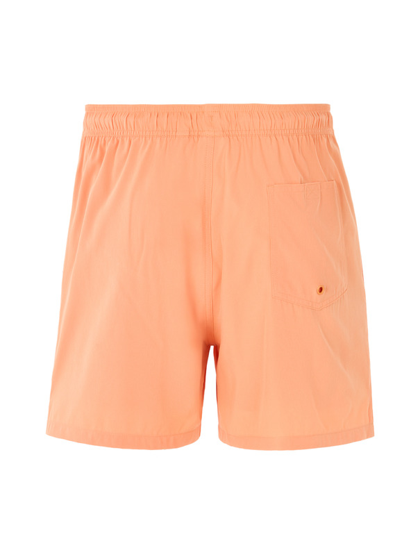 Celio Kopalke Ninorkini