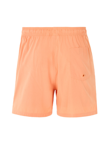 Celio Kopalke Ninorkini