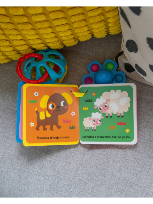 ELLA & MAX Knjižka za voziček – MAČKA IN PRIJATELJI