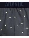 Atlantic Moške športne spodnje hlače ATLANTIC 3Pack - večbarvne Velikost: