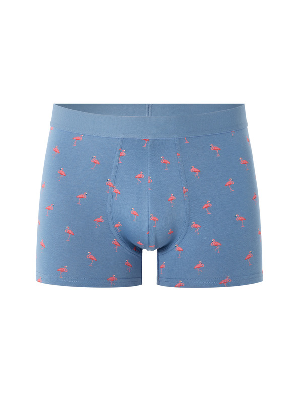 Celio Boksarice Niboflamin