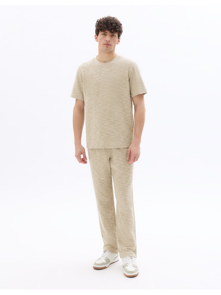 Celio Majica Neprioti