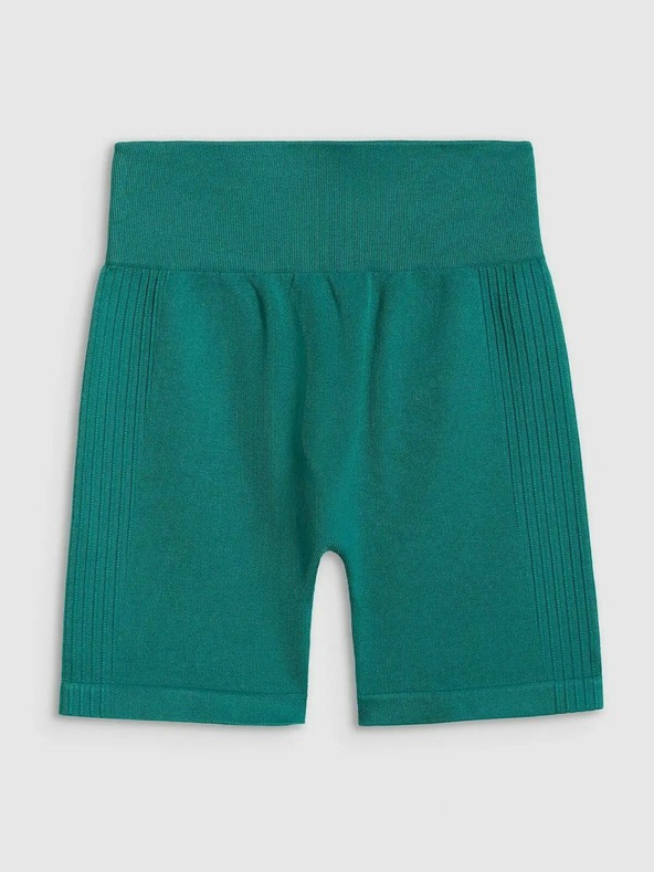 4F Ženske kratke hlače 4F FNK Breeze