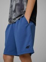 4F Fantovske kratke hlače 4F FNK
