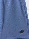 4F Fantovske kratke hlače 4F FNK