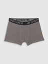 4F Fantovske boksarice 4F (3pack)