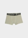 4F Fantovske boksarice 4F (3pack)