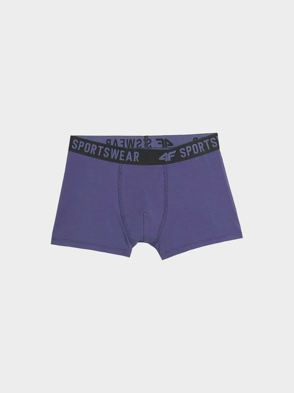 4F Fantovske boksarice 4F (3pack)