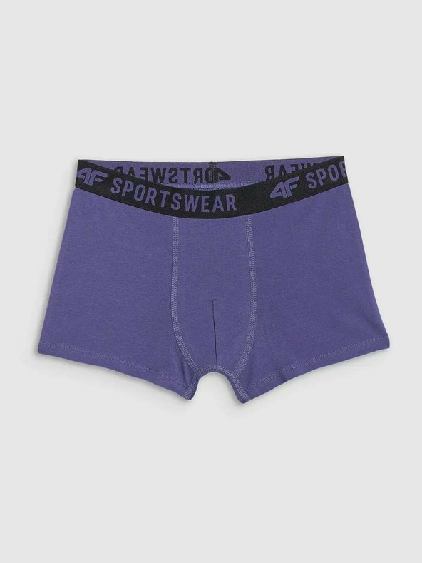 4F Fantovske boksarice 4F (3pack)