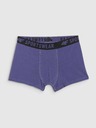 4F Fantovske boksarice 4F (3pack)