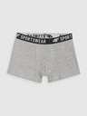 4F Fantovske boksarice 4F (3pack)