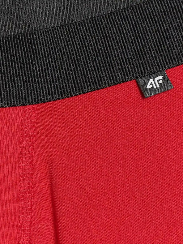 4F Moški boksaški spodnjački 4F (2pack)