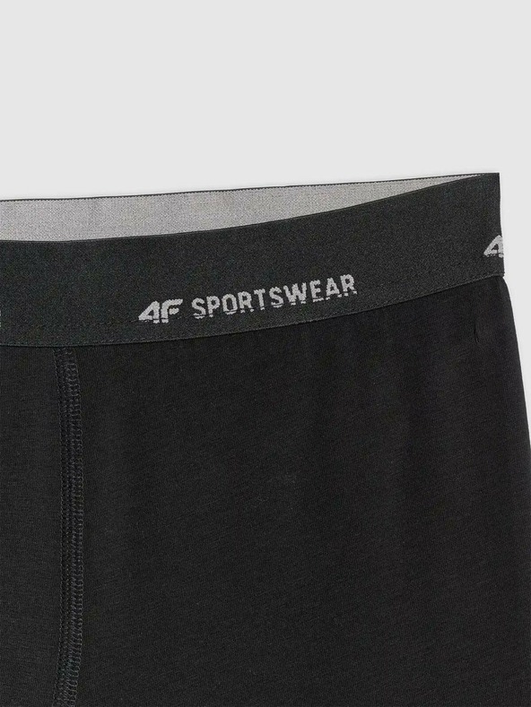 4F Moški boksaški spodnjački 4F Falcon (2pack)