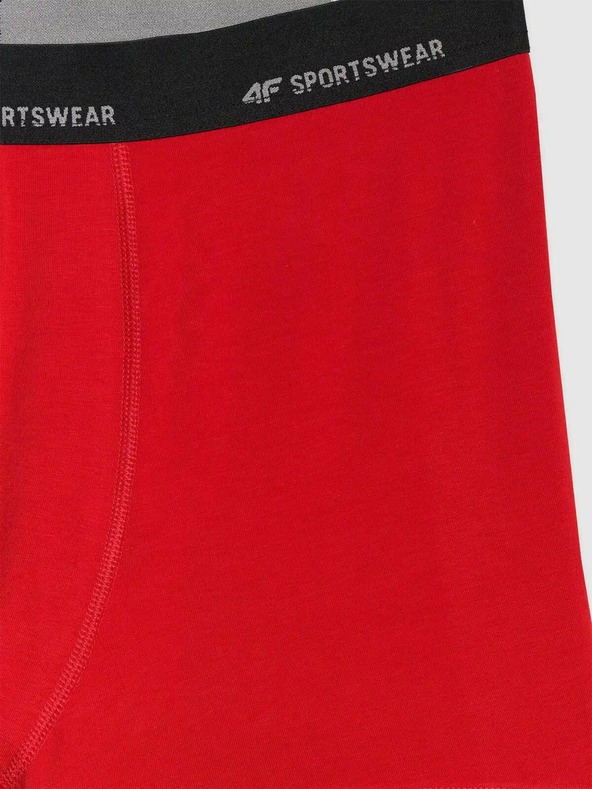 4F Moški boksaški spodnjački 4F Falcon (2pack)