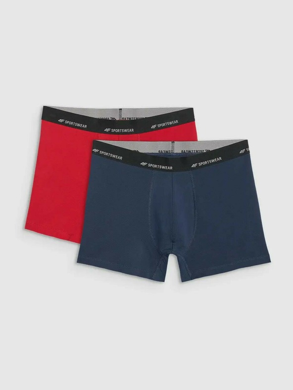 4F Moški boksaški spodnjački 4F Falcon (2pack)