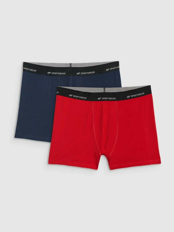 4F Moški boksaški spodnjački 4F Falcon (2pack)