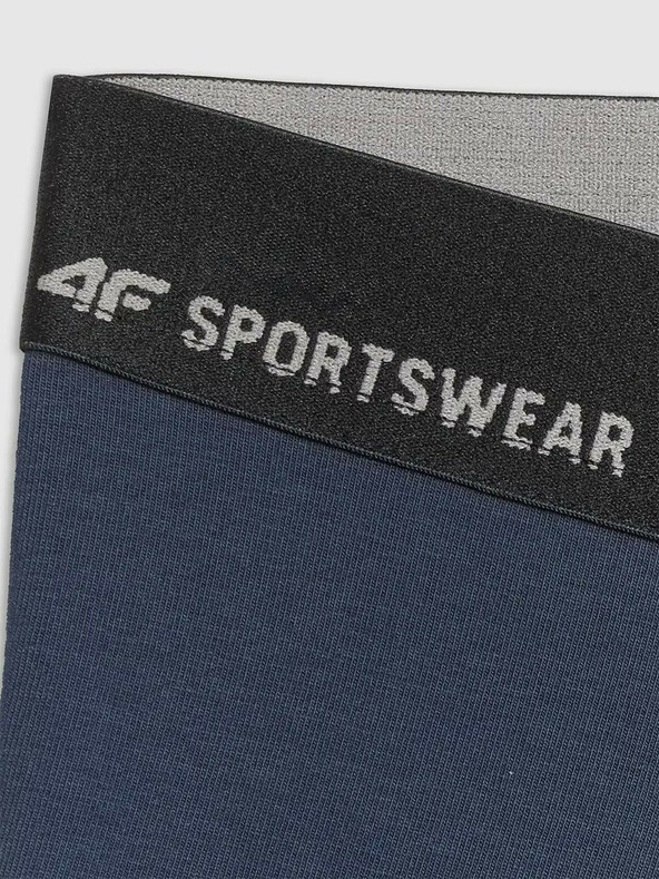 4F Moški boksaški spodnjački 4F Falcon (2pack)