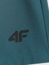 4F Moške kratke hlače 4F Batan