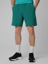 4F Moške kratke hlače 4F Batan