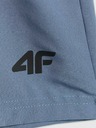 4F Moške kratke hlače 4F Batan